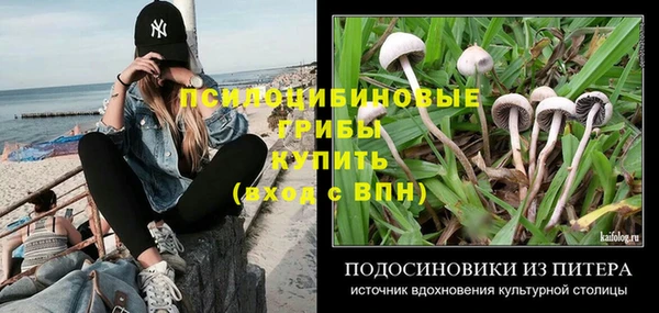 бутират Елабуга